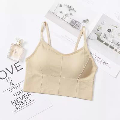 Comfortable Sports Bra with Adjustable Straps