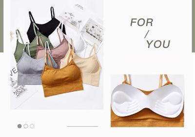 Comfortable Sports Bra with Adjustable Straps